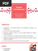 Terapia Transfusional