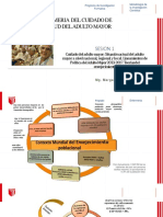 Situación Del Adulto - Lineamientos de Política