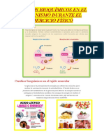 Cambios Bioquímicos en El Organismo Durante El Ejercicio Físico