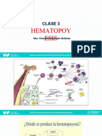 Clase 3 Hematopoyesis