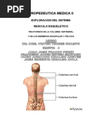 Expo de Sistema Musculo Esqueletico