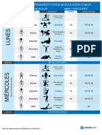 Plan de Entrenamiento para Musculacion Zumub Starter