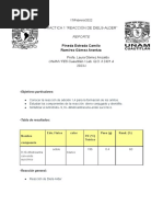 Reporte Diels-Alder