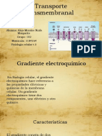 Transporte Transmembranal