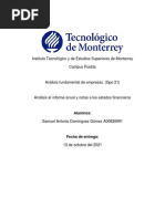 Análisis Al Informe Anual y Notas A Los Estados Financieros - A00826991