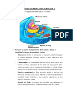 Cuestionario de II Parcial. Lab. Biología I.