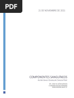 Componentes Sanguíneos