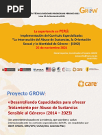 Presentación CARE - CurrÍculo SOGI Oficial 25.11.21