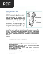 3 Cólico Renal y Uo Alta