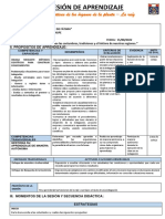 15-08 Caracteristicas de Una Planta La Raiz