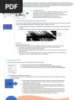 Neurofisiologia de La Audicion