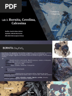 Laboratorio 3. Covelina, Calcosina, Bornita