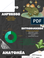 Manejo de Anfibios