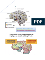 Schizophrènie