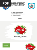 Trabajo Ecosac