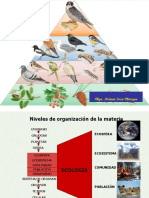 Ecologia Ades I 1