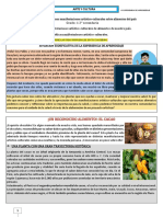 Grado: 1-2° Secundaria: Actividad 1: Apreciamos Manifestaciones Artístico-Culturales Sobre Alimentos Del País