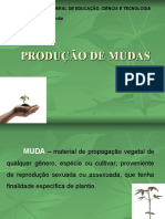 AULA 1 Produção de Mudas