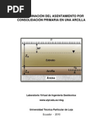 Consolidacion Primaria