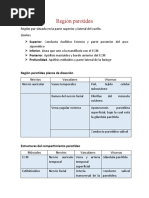 Región Parotídea