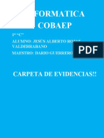 Carpeta de Evidencias