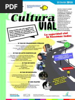 Cultura Vial