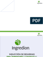 Induccion Seguridad