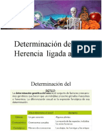 4-Determinacion y Herencia Ligada Al Sexo