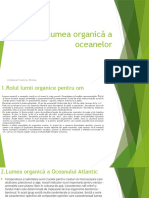 Lumea Organică A Oceanelor