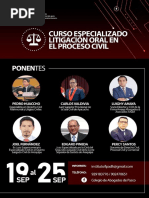 Brochure Curso Especializado Litigación Oral en El Proceso Civil