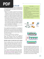 Biologia 2do BGU ForosEcuador 60 76