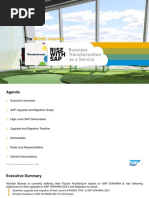 Project Plan - RISE Upgrade-Migration With SAP RISE - v02