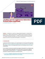 Semana 11¿cuáles Son Los Regímenes Laborales en El Perú - Bien Explicado - LP