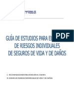 Gu A Riesgos Individuales de Seguros de Vida y de Da Os