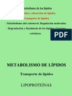 Lipoproteinas Plasmaticas 2