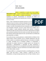 1 RESUMO DA DISICIPLINA - Parte 1 - Desenvolvimento Das Primeiras Cidades2