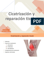 Cicatrización y Reparación Tisular, Fisiopatologia