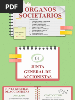 Grupo N 04 - Organos Societarios