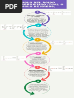 Ciclo de Krebs