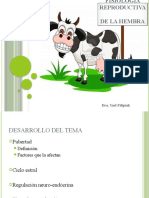 Fisiologareproductivadelahembra 141002085621 Phpapp01