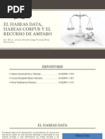 El Habeas Data, Habeas Corpus