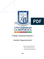 Trabajo de Aplicación Modulo I Gestión Organizacional Patricio Diaz G