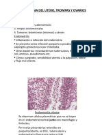 Fisiopatologia Del Utero, Ovario y Trompas