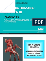 Clase 23 Abdomen Iii