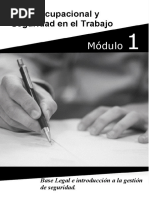 Mòdulo 1 - Salud Ocupacional