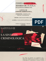 E) Capitulo Iii (La Sintesis Criminologica) .