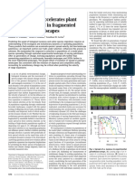 Rapid Evolution Accelerates Plant Population Spread in Fragmented Experimental Landscapes