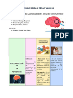 Cuadro Nosográfico Psicopatología de La Percepción