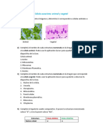 Célula Eucariota. Animal y Vegetal