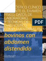 Bovinos Con Abdomen Distendido. Metodo DX y TX